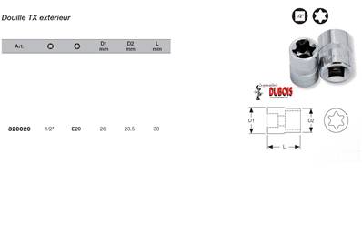 Douille TX 1/2" E20