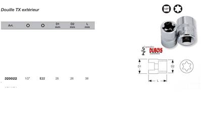 Douille TX 1/2" E22