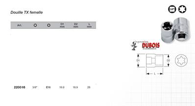 Douille TX 3/8" E16