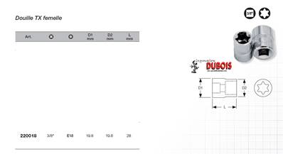 Douille TX 3/8" E18