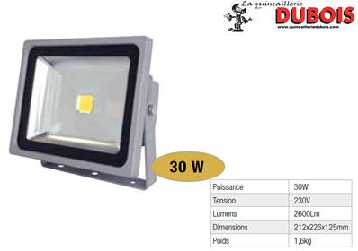 Projecteur LED 30 Watts 2600 lm IP65